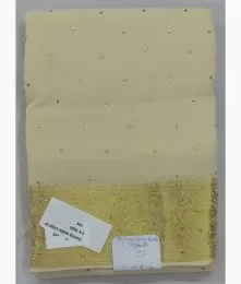 Chiffon Radhe Stone B1