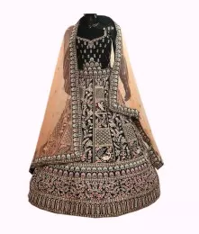 Beautiful Pearl Zarkan Embroidery Lehenga